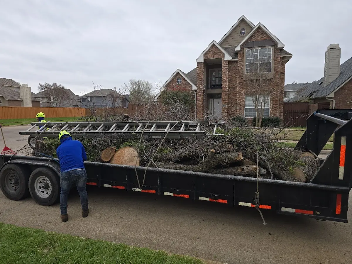 Expert Tree Removal with proper safety equipment in South Windsor